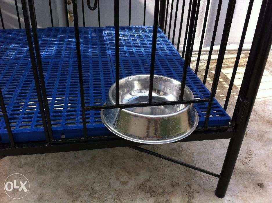 Dog Cages Heavy Duty Bnew Cavite DETACHABLE, Pet Supplies, Homes
