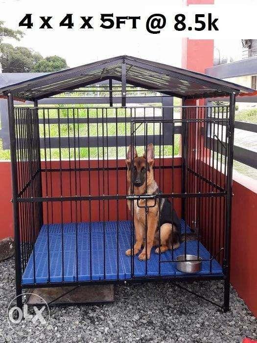 Dog Cages Heavy Duty Bnew Cavite DETACHABLE, Pet Supplies, Homes
