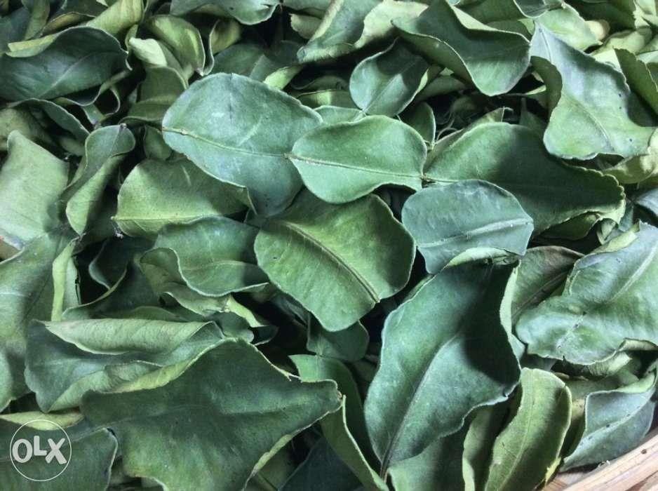 Pure Kaffir Lime Leaf Powder (Category: Fresh Produce) located in Manila. Submitted by paw_prints9 (Listing ID 239333378, Image 3). Description: Uses: this powder goes a long way. A small amount adds a zesty flavor to curries, sauces, marinades, spice mixes, soups, even desserts. Create your own recipes or herbal spice mix. May also be used as a substitute for fresh kaffir. We harvested, washed and air-dried fresh Kaffir leaves, then ground to a 