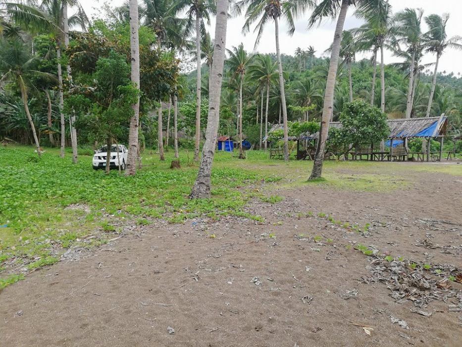 TIWI ALBAY BEACH FRONT For Sale
