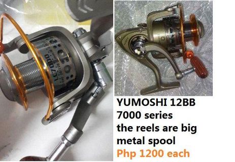 fishing rods and reels