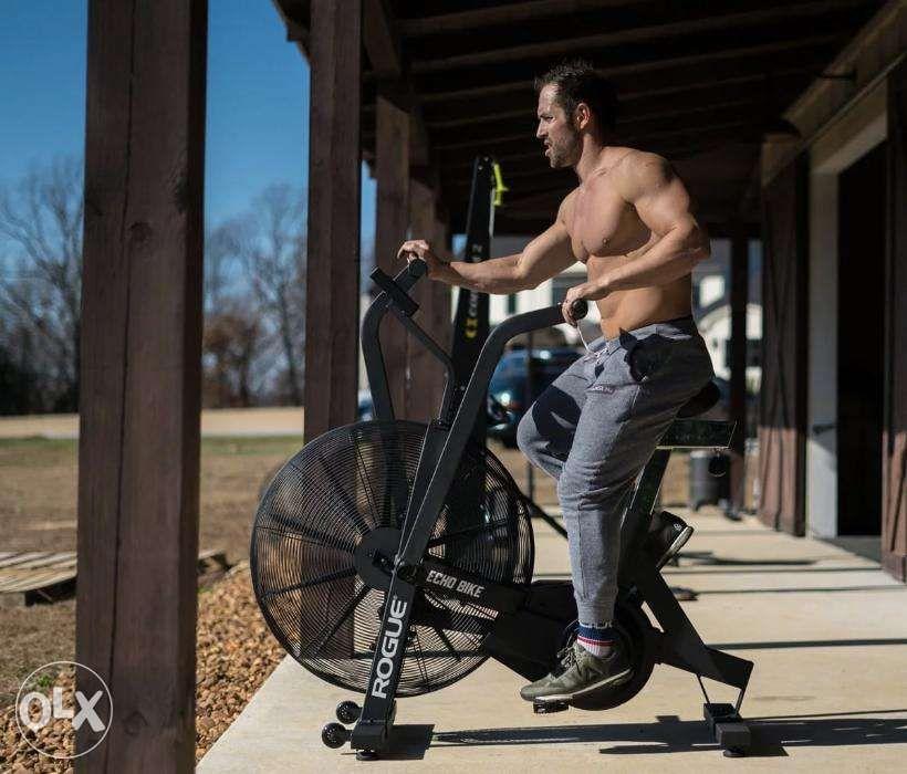 echo rogue bike