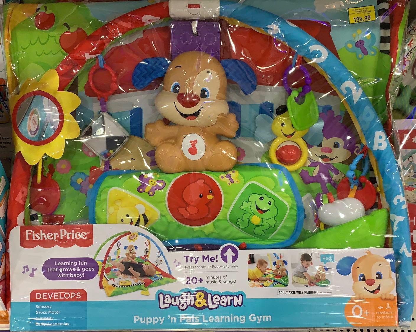 fisher price puppy play mat