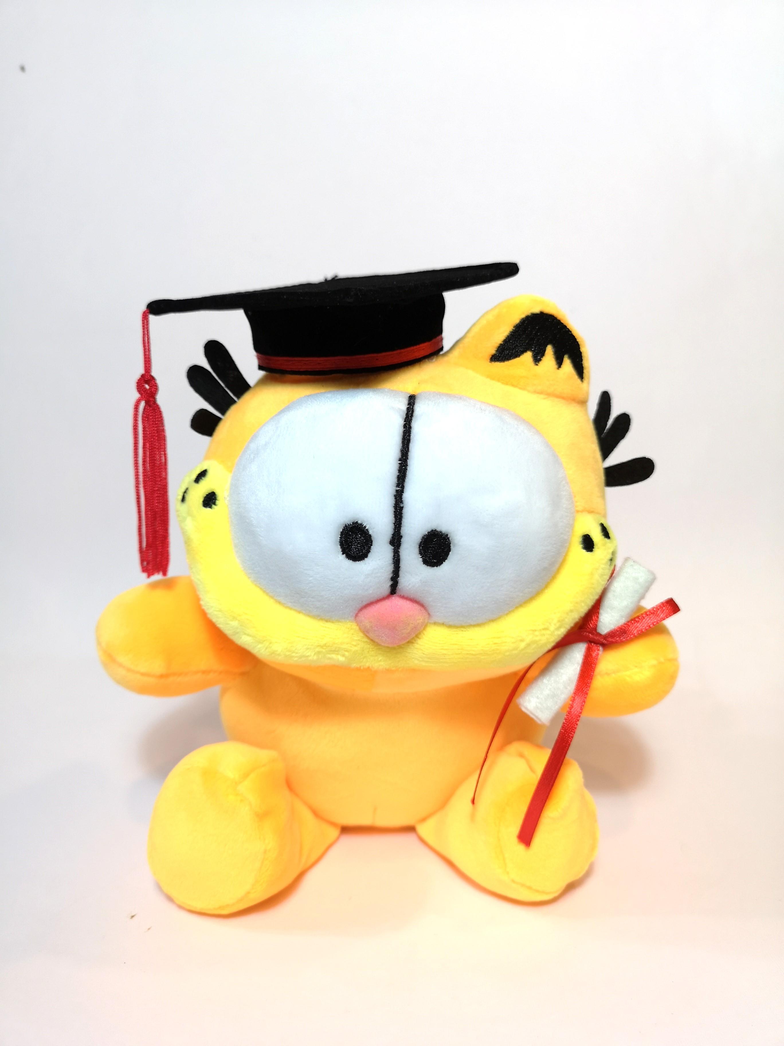 graduation cat plush
