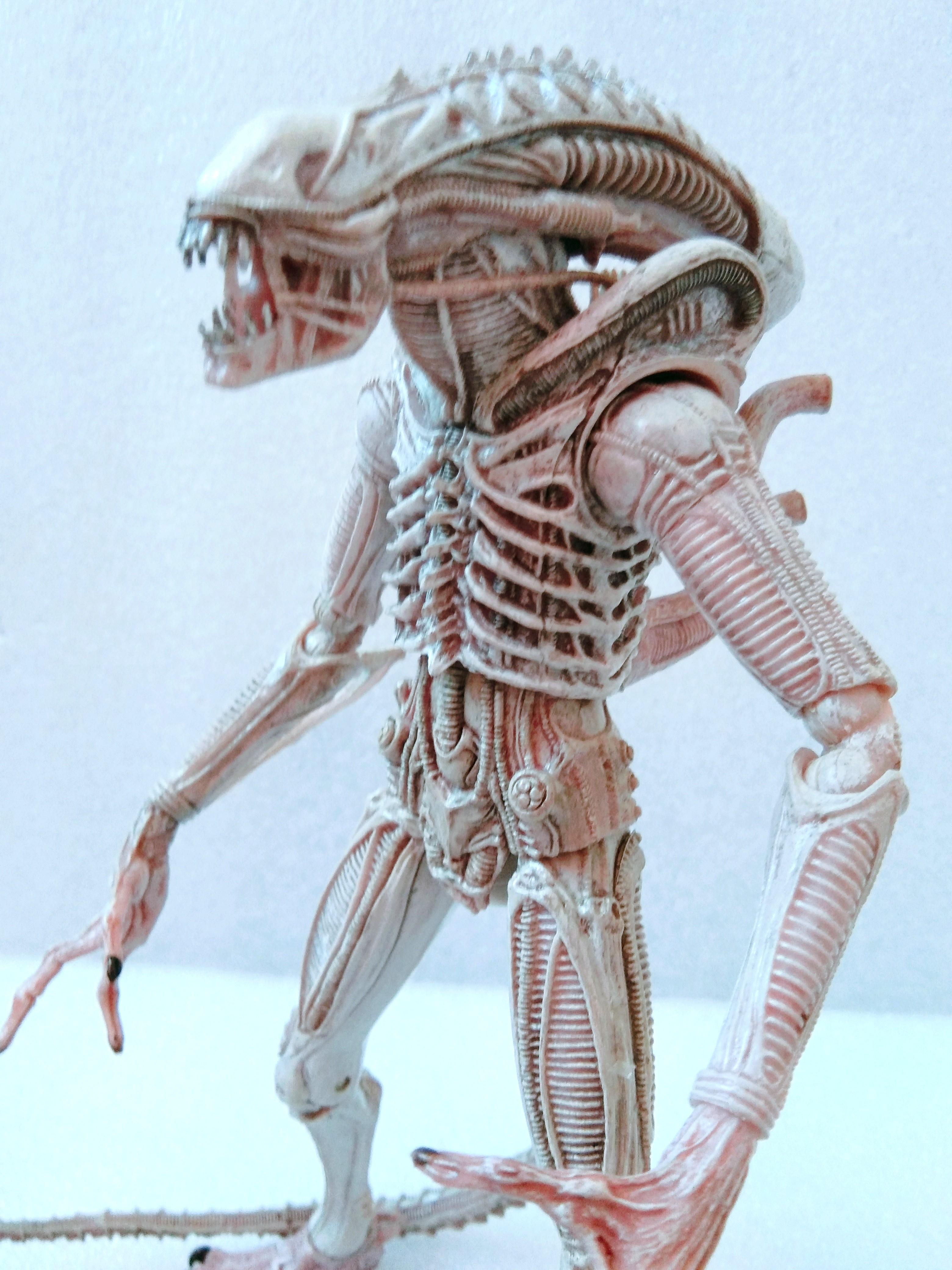 Neca albino alien deals