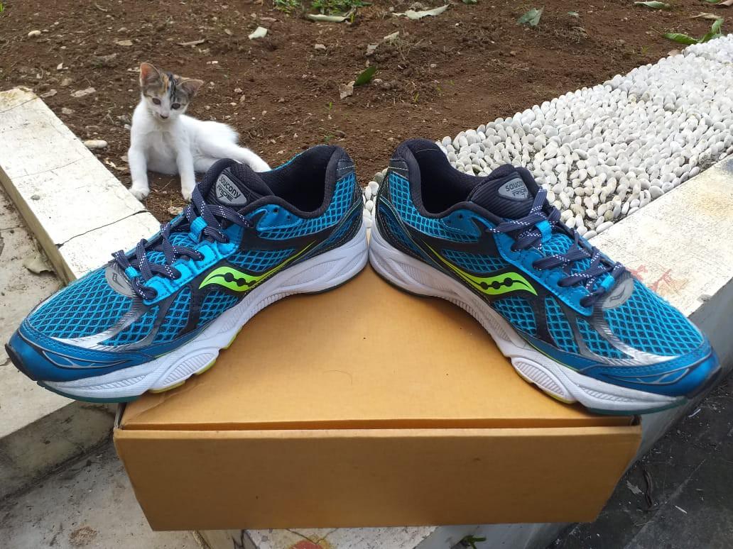 saucony ride 44