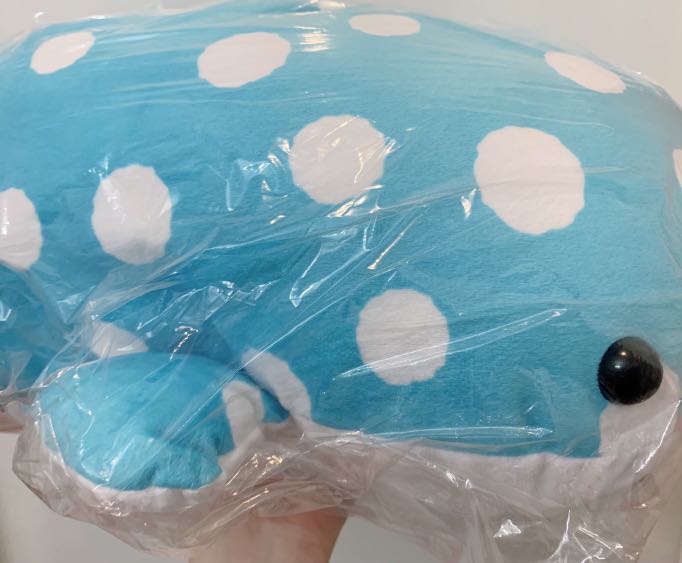 toreba whale shark