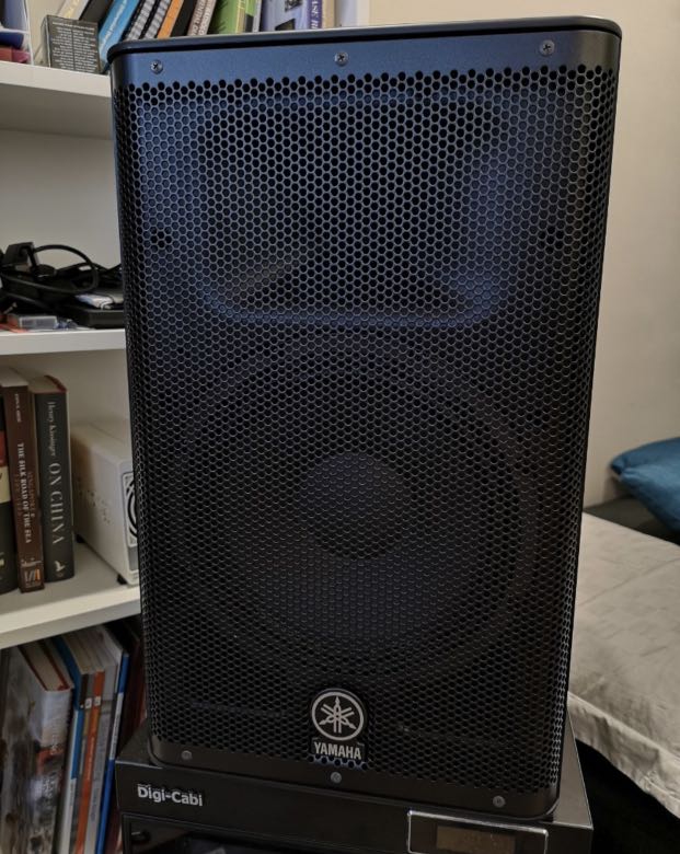 Yamaha DXR10 PA FRFR Speaker
