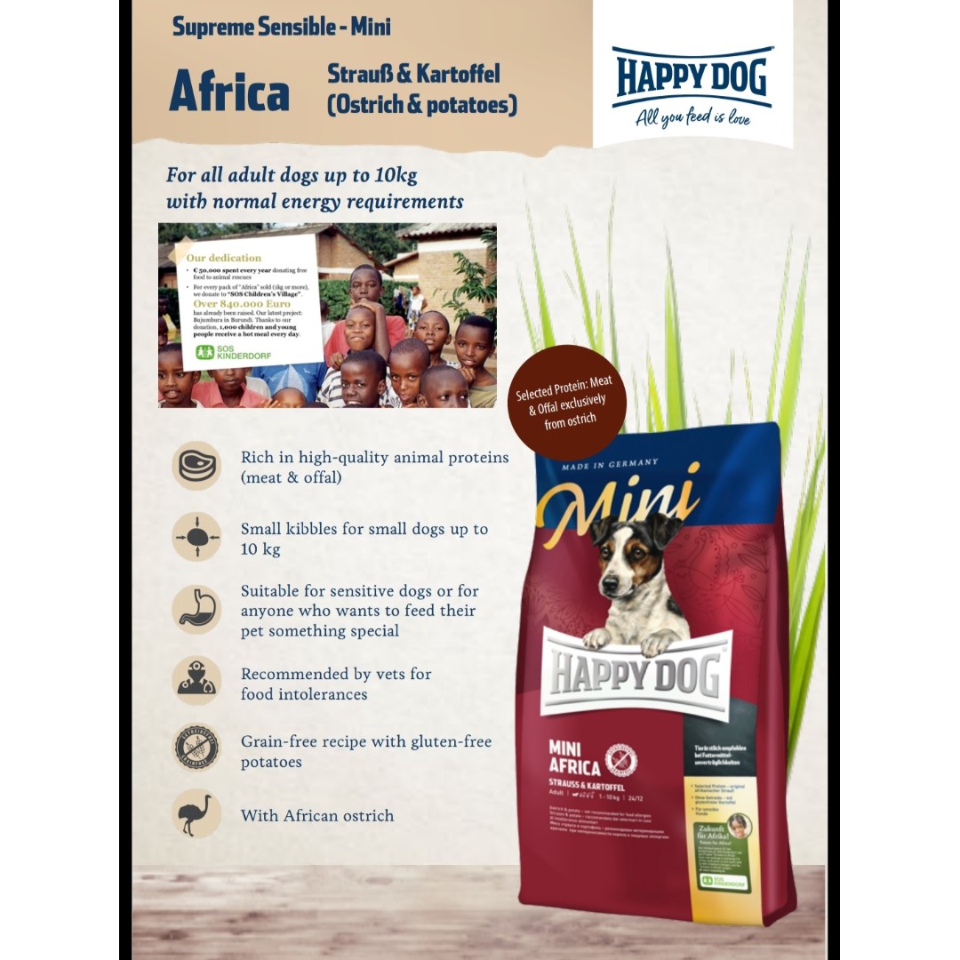 mini africa happy dog