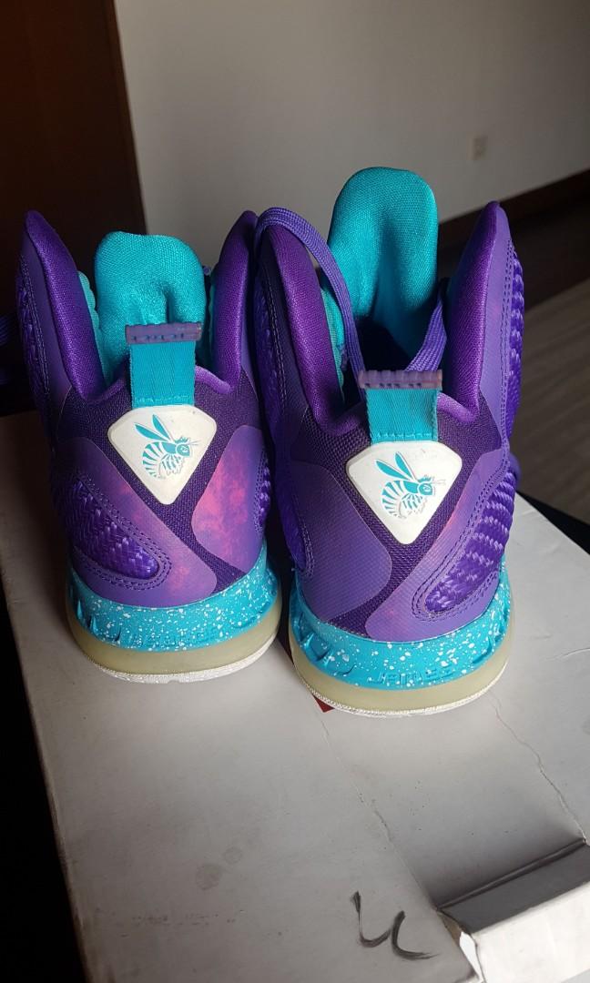 lebron hornets