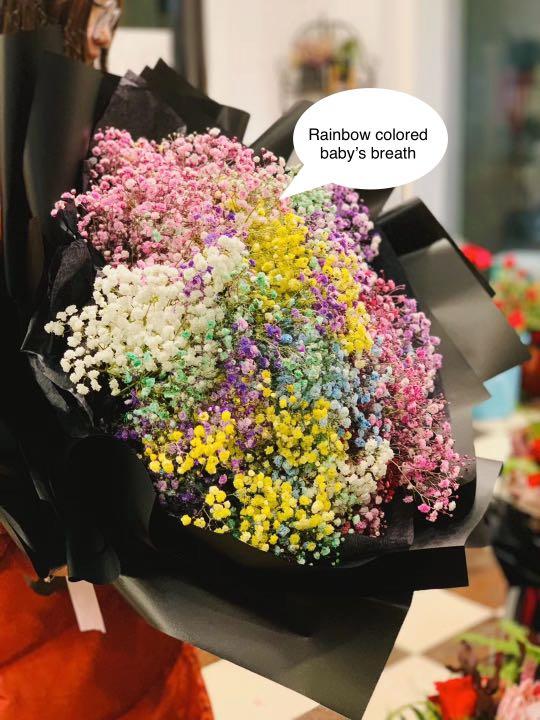 Xxl Size Fresh Rainbow Baby S Breath Bouquet Gardening Flowers Bouquets On Carousell