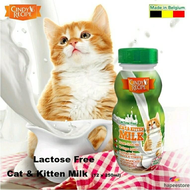 Make In Belgium Cindys Recipe Lactose Free Cat And Kitten Milk 12 X 250ml Pet Supplies For Cats Cat Food On Carousell