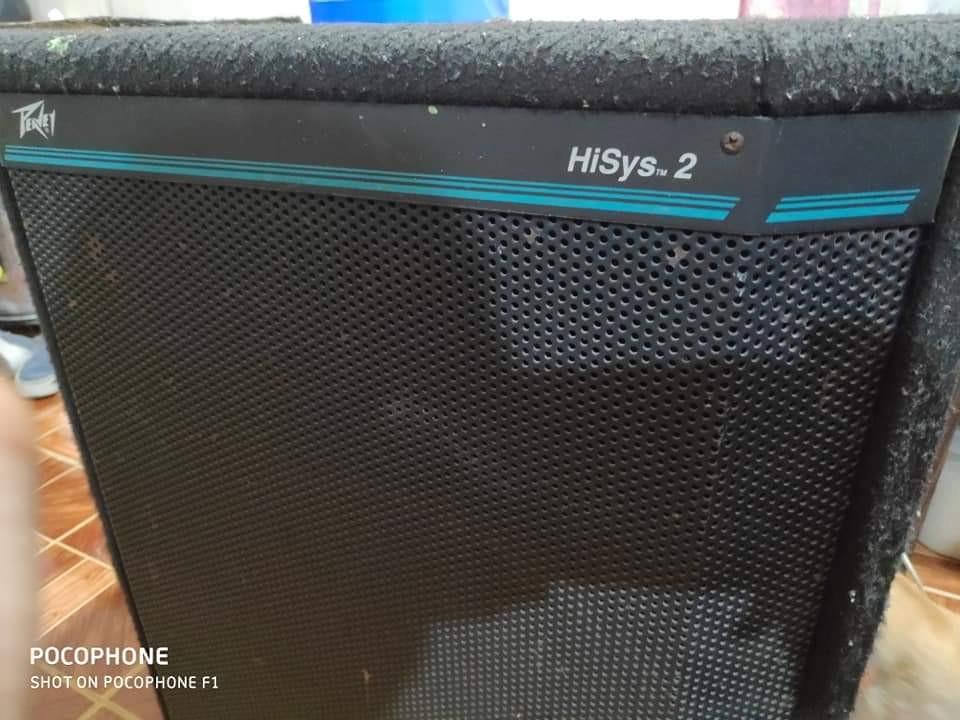 Peavey cheap hisys 2