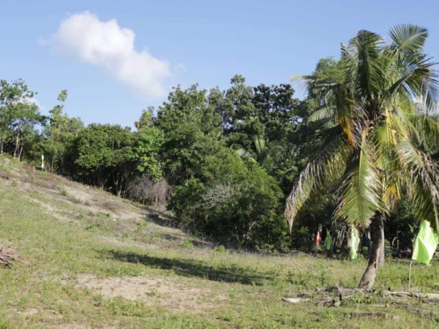 Maria Luisa Subdivided Lot located in Montaña Baclayon Bohol., Property ...