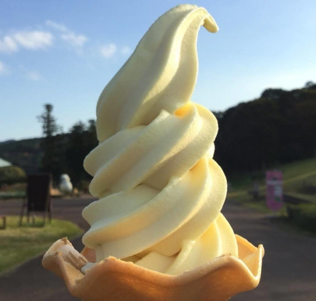 1 Nozzle Ice Cream Machine Cebu on Carousell