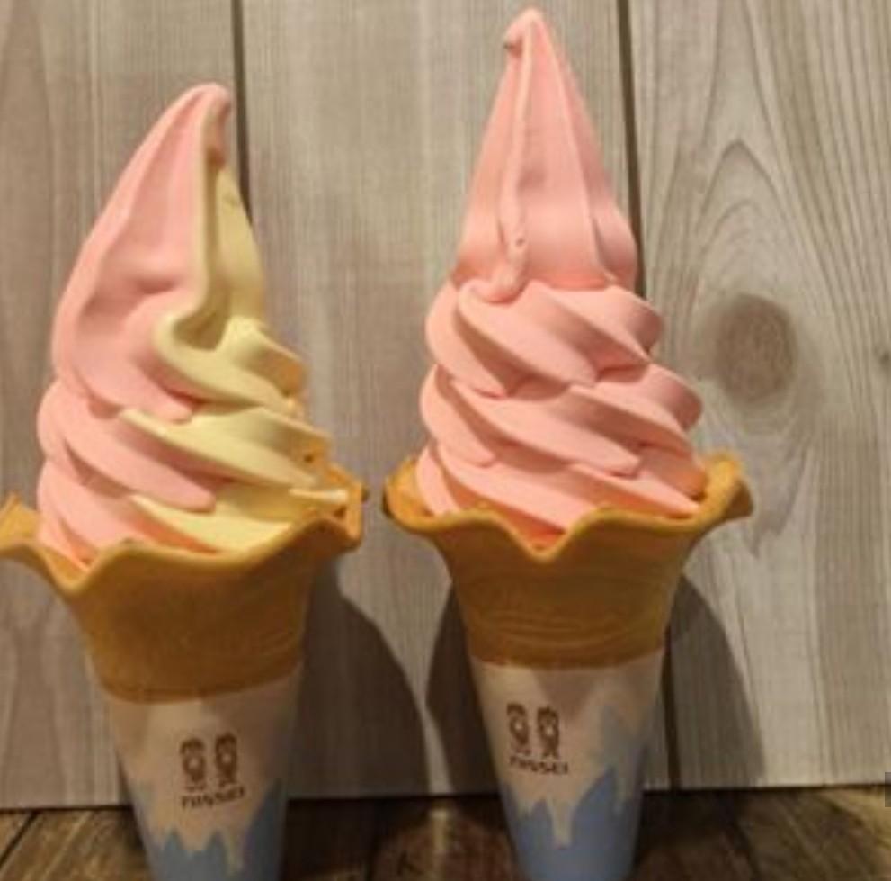 1 Nozzle Ice Cream Machine Cebu on Carousell