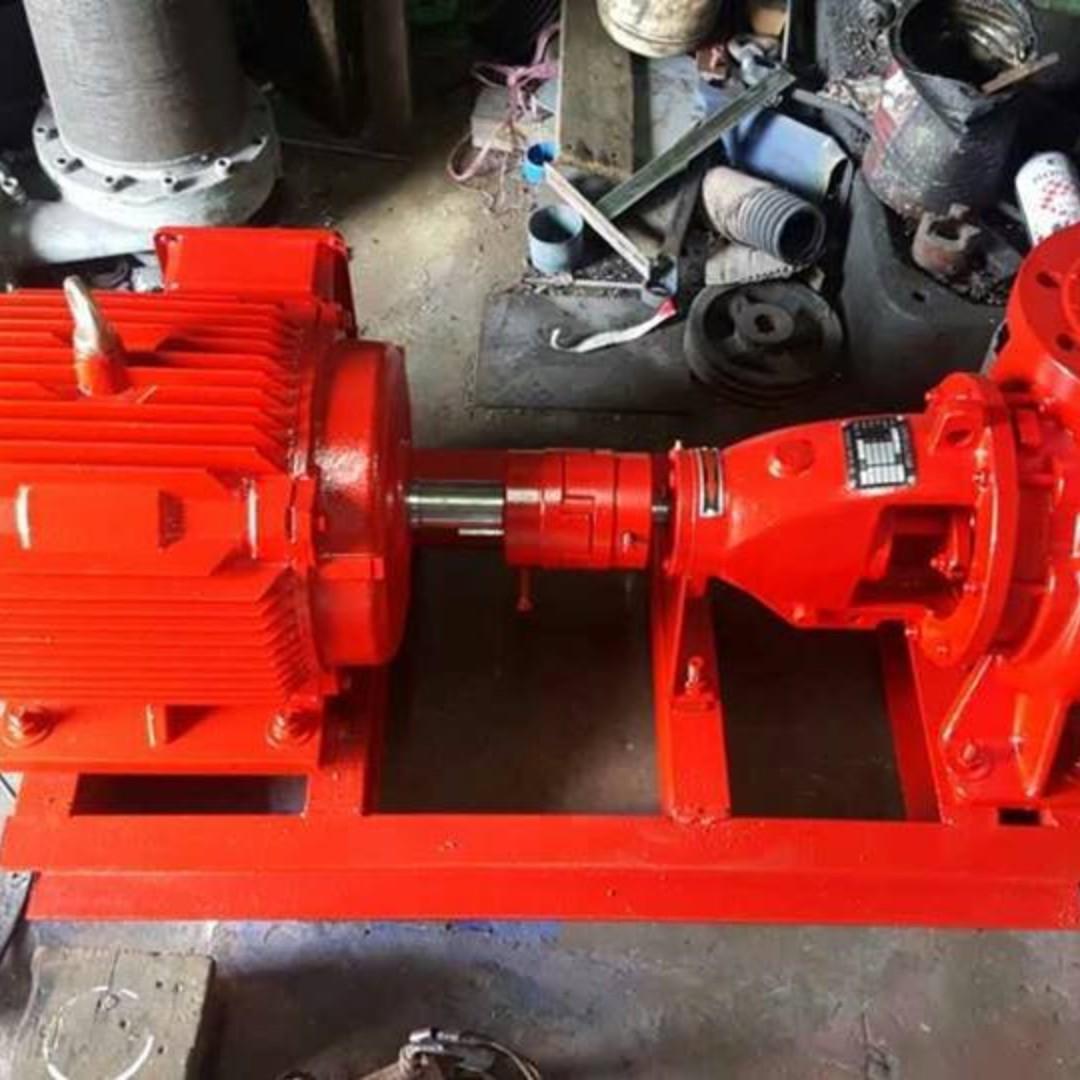 Fire Pump Jockey Pump for Fire Sprinkler System, Furniture & Home