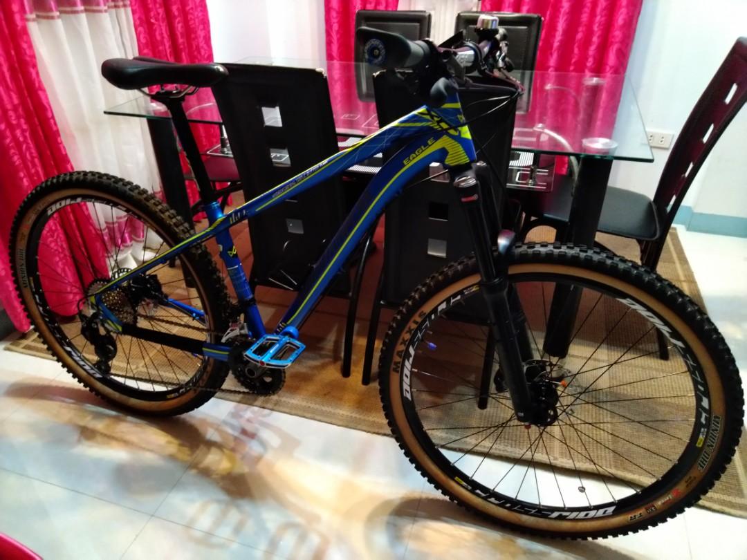 mountain peak eagle frame price