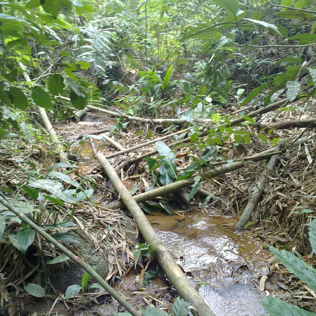 Tanah Pertanian Janda Baik Pahang Property Rentals On Carousell