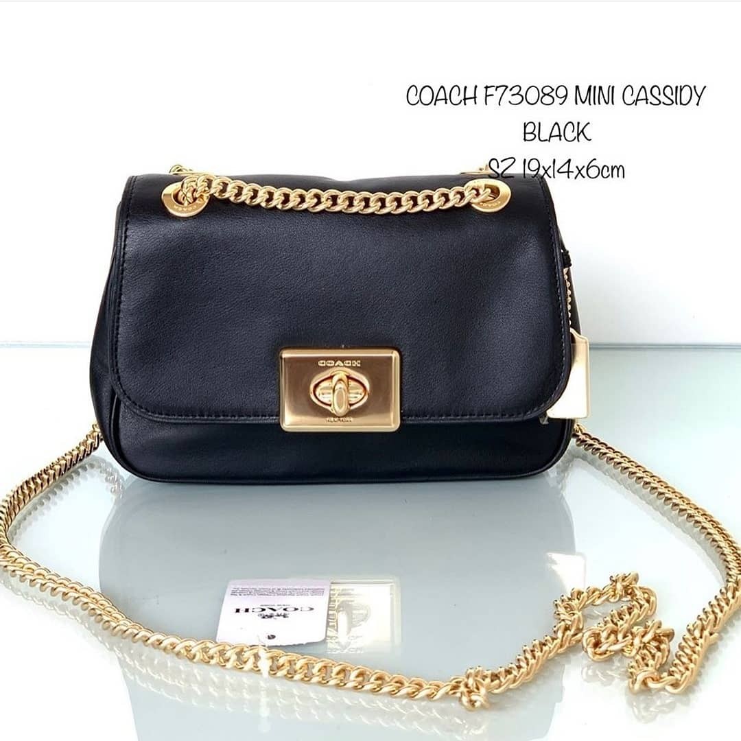 coach mini cassidy coin case