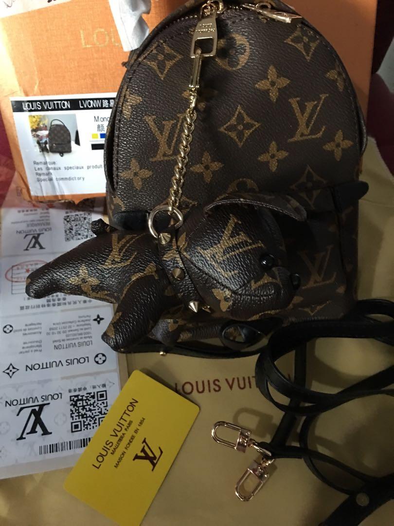 Louis Vuitton Palm Springs Backpack for Pets