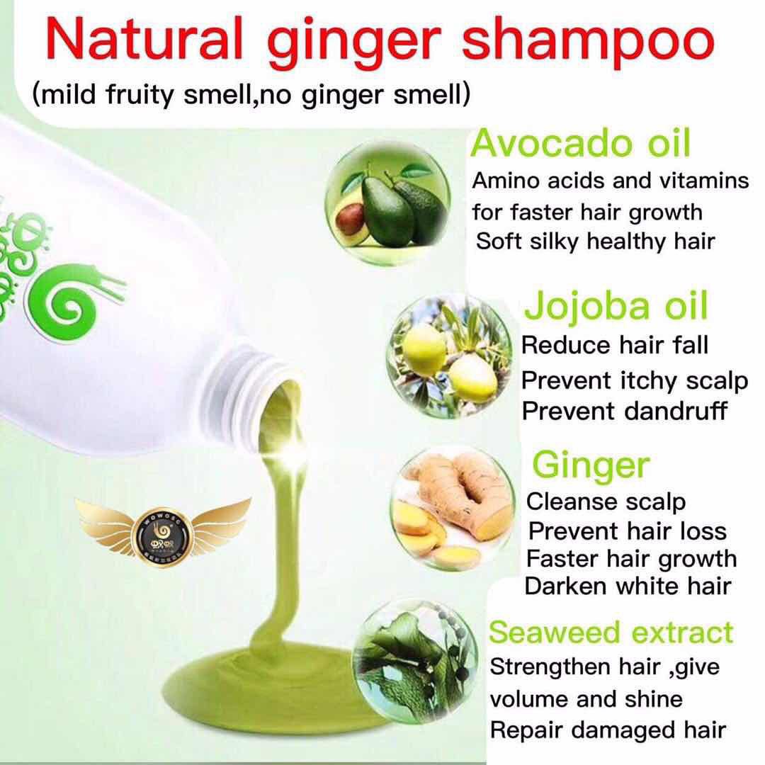 Wowo Ginger Shampoo Health Beauty Hair Care On Carousell