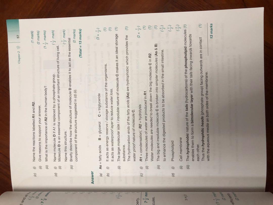 Bio恐龍書 Basic Principles in Biology Book 1, 興趣及遊戲, 書本 & 文具, 教科書 - Carousell