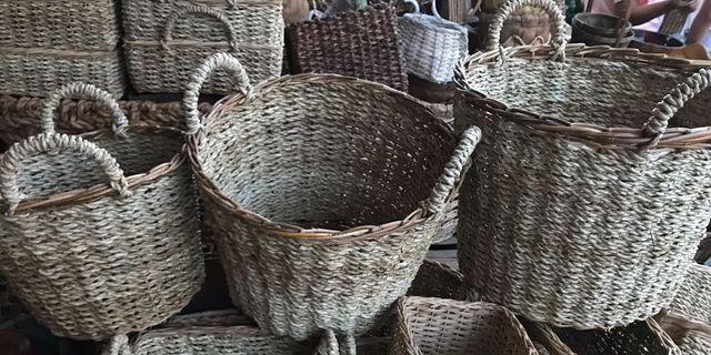 Native Plant Basket