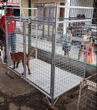 Customized Dog Cage ( Made to order )