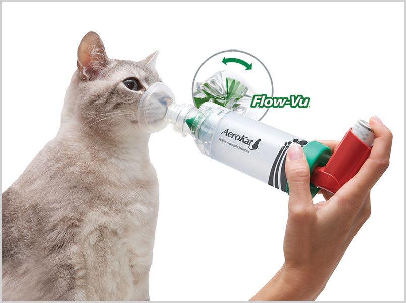 AEROKAT Aerosol Chamber Inhaler Spacer for Cats, Pet Supplies, Homes ...