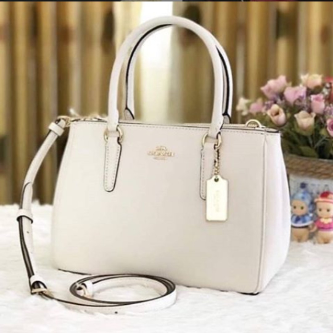 mini surrey carryall coach