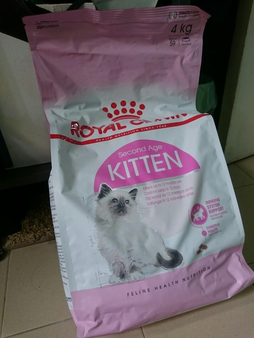 Cat Dry Biscuits Food Royal Canin For Kitten Pet Supplies For Cats Cat Food On Carousell