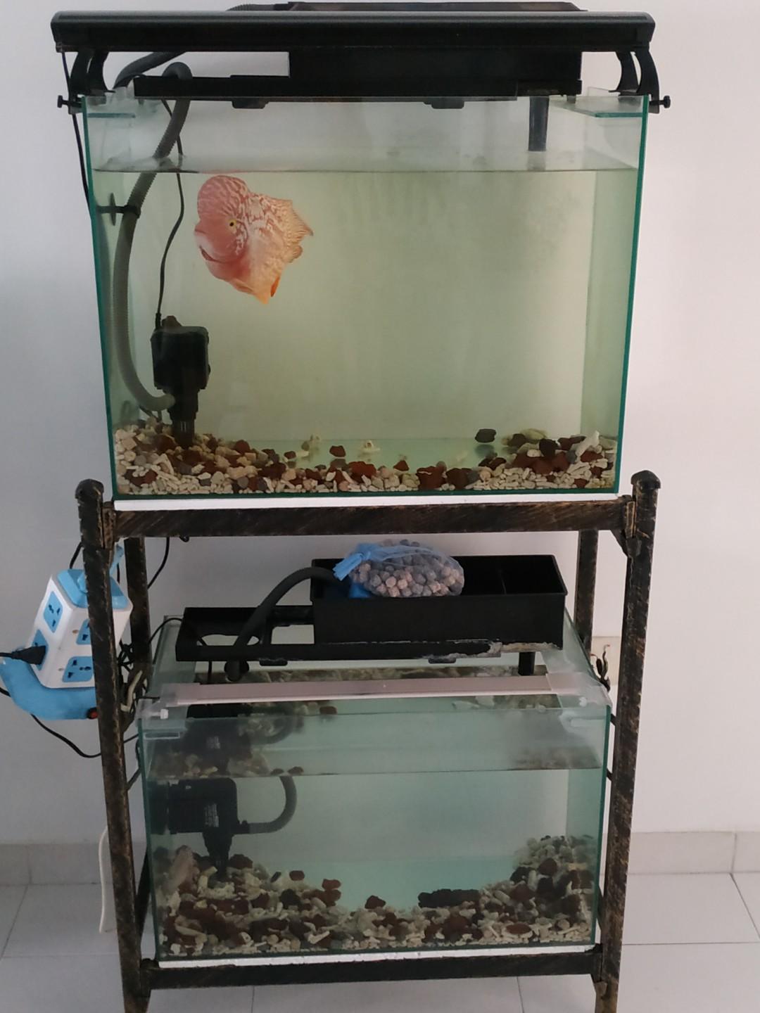 fish tank stand price