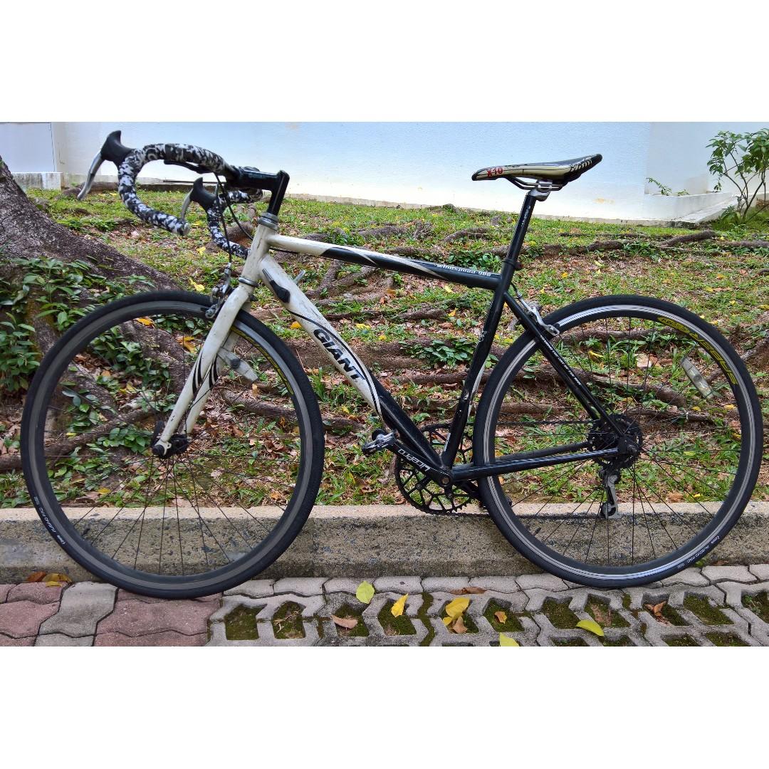 giant road bike price