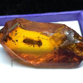 UNRN11 BALTIC AMBER REC.CUT WITH INCLUSION