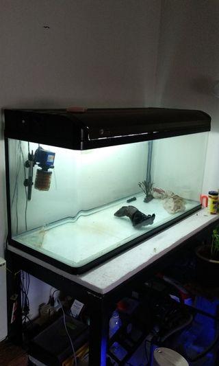 4ft aquarium w/ cover