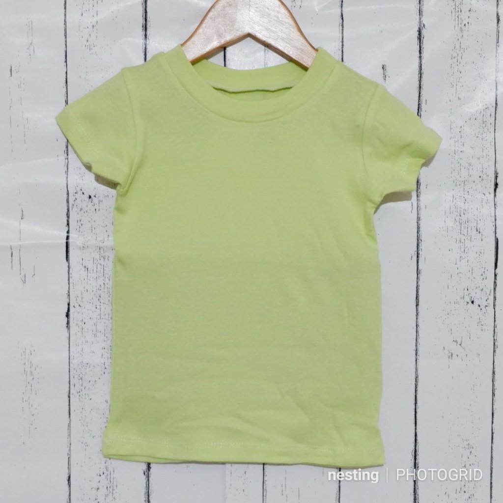 plain 2t shirts