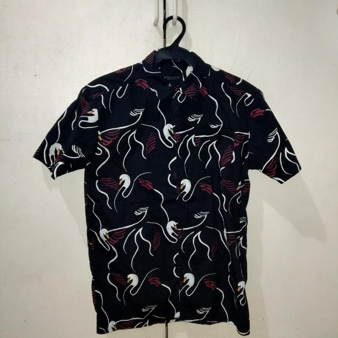 Button down polo best sale penshoppe