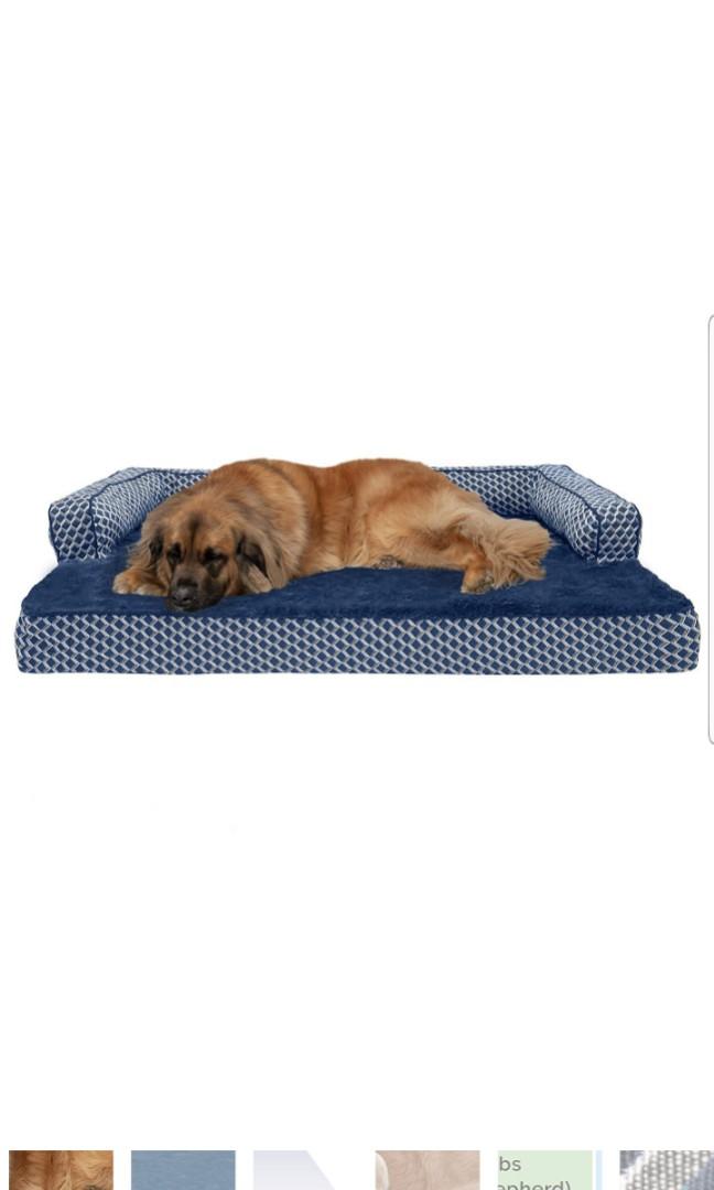 comfy couch dog bed