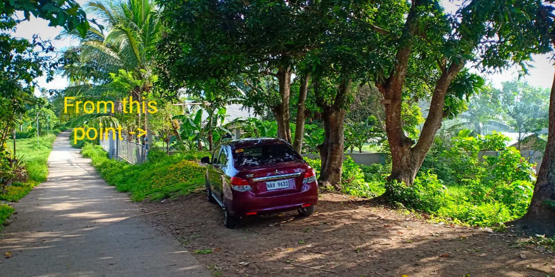 Lot For Sale Cuenca, Batangas (1,000 sqm) (2000php per sqm), Property