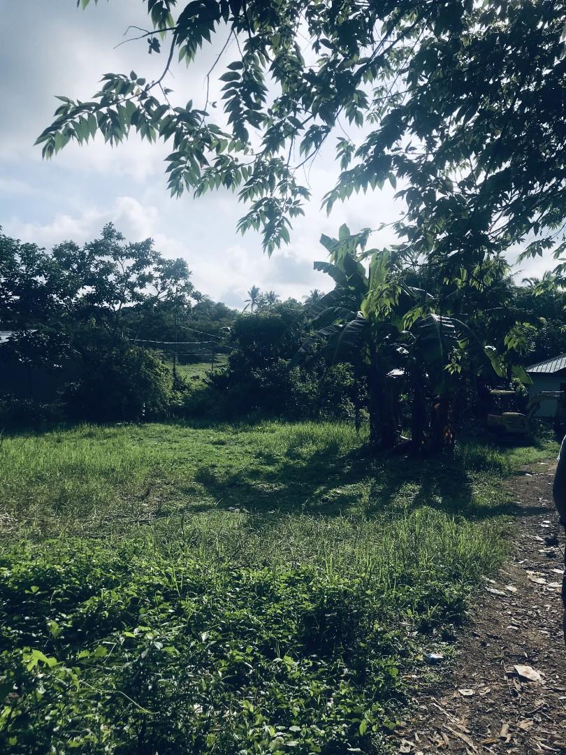 Lot For Sale Cuenca, Batangas (1,000 sqm) (2000php per sqm), Property, For Sale, Lot on Carousell