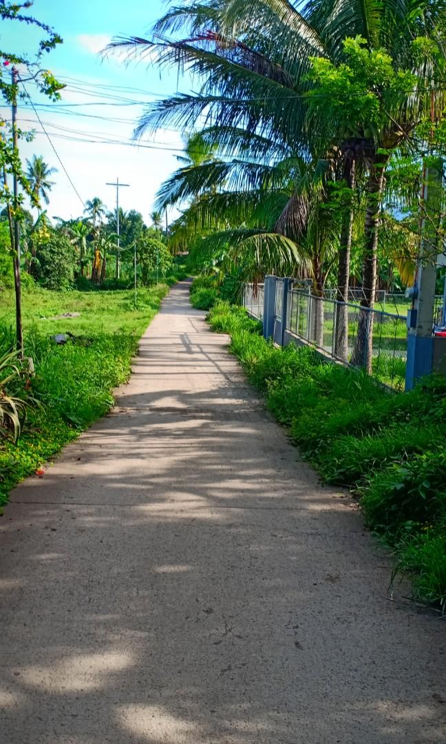 Lot For Sale Cuenca, Batangas (1,000 sqm) (2000php per sqm), Property, For Sale, Lot on Carousell