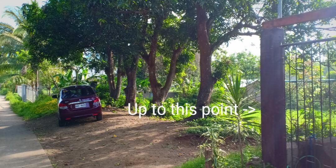 Lot For Sale Cuenca, Batangas (1,000 sqm) (2000php per sqm), Property, For Sale, Lot on Carousell