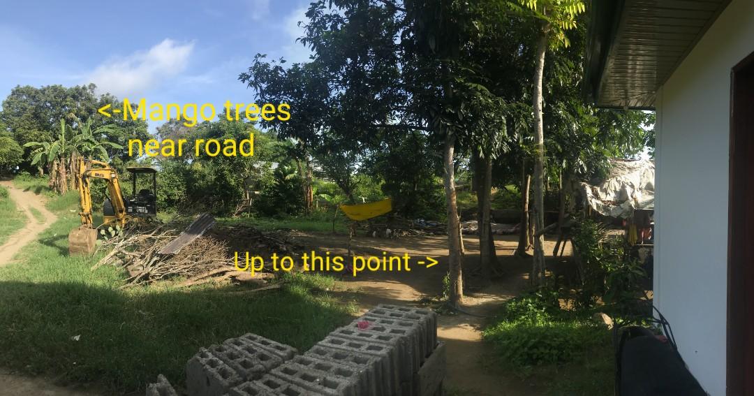 Lot For Sale Cuenca, Batangas (1,000 sqm) (2000php per sqm), Property, For Sale, Lot on Carousell