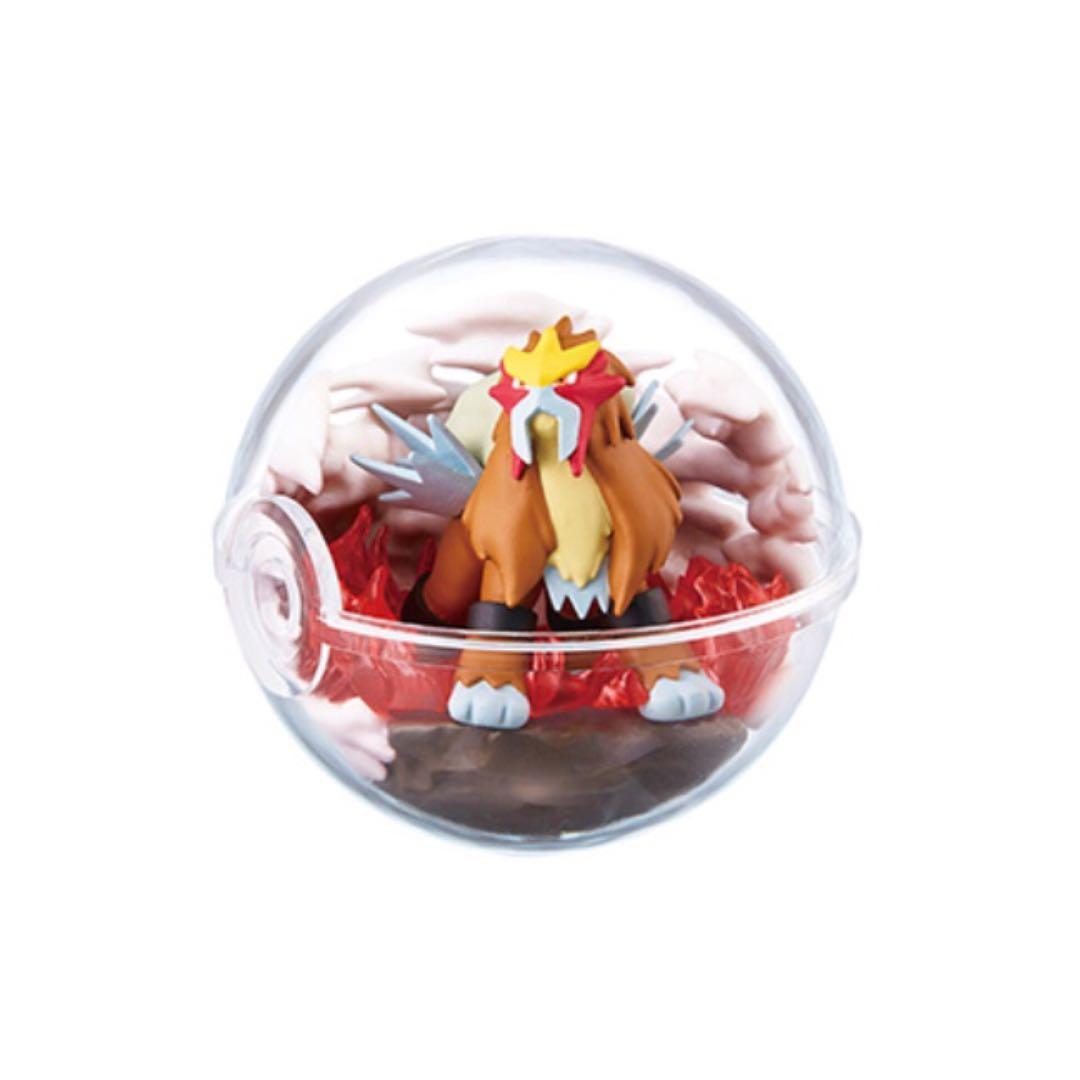 RE-MENT Pokemon Terrarium Collection 7 Poke Ball Case Figure 5 Cleffa /& Phanpy