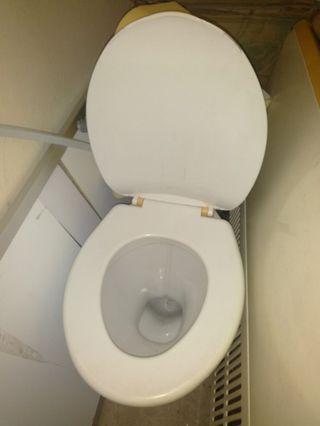 toilet seat set