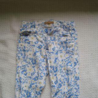 Blue Flowery Pants
