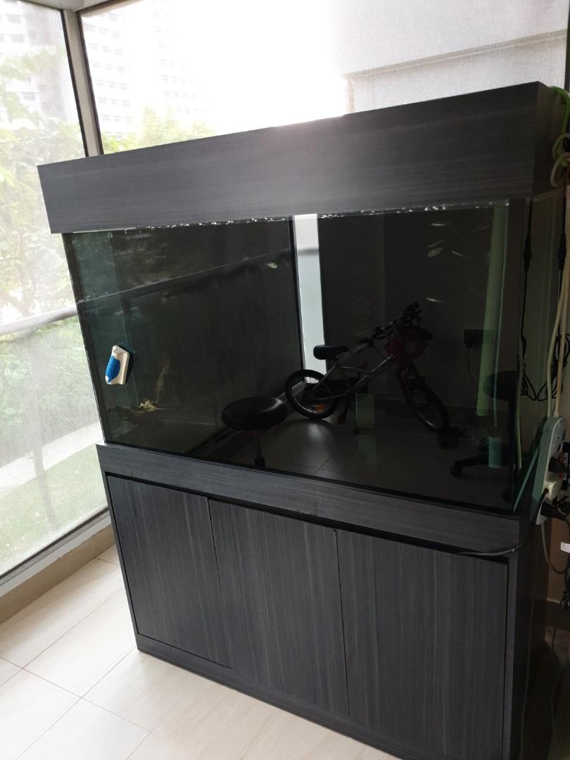 4x2x2 Tank Set With Sump For Sale Pet Supplies For Fish Fish