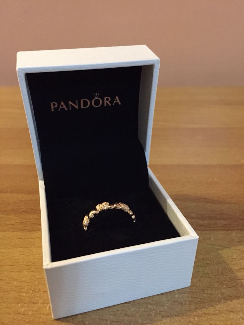 Authentic Pandora Matte Brilliance 