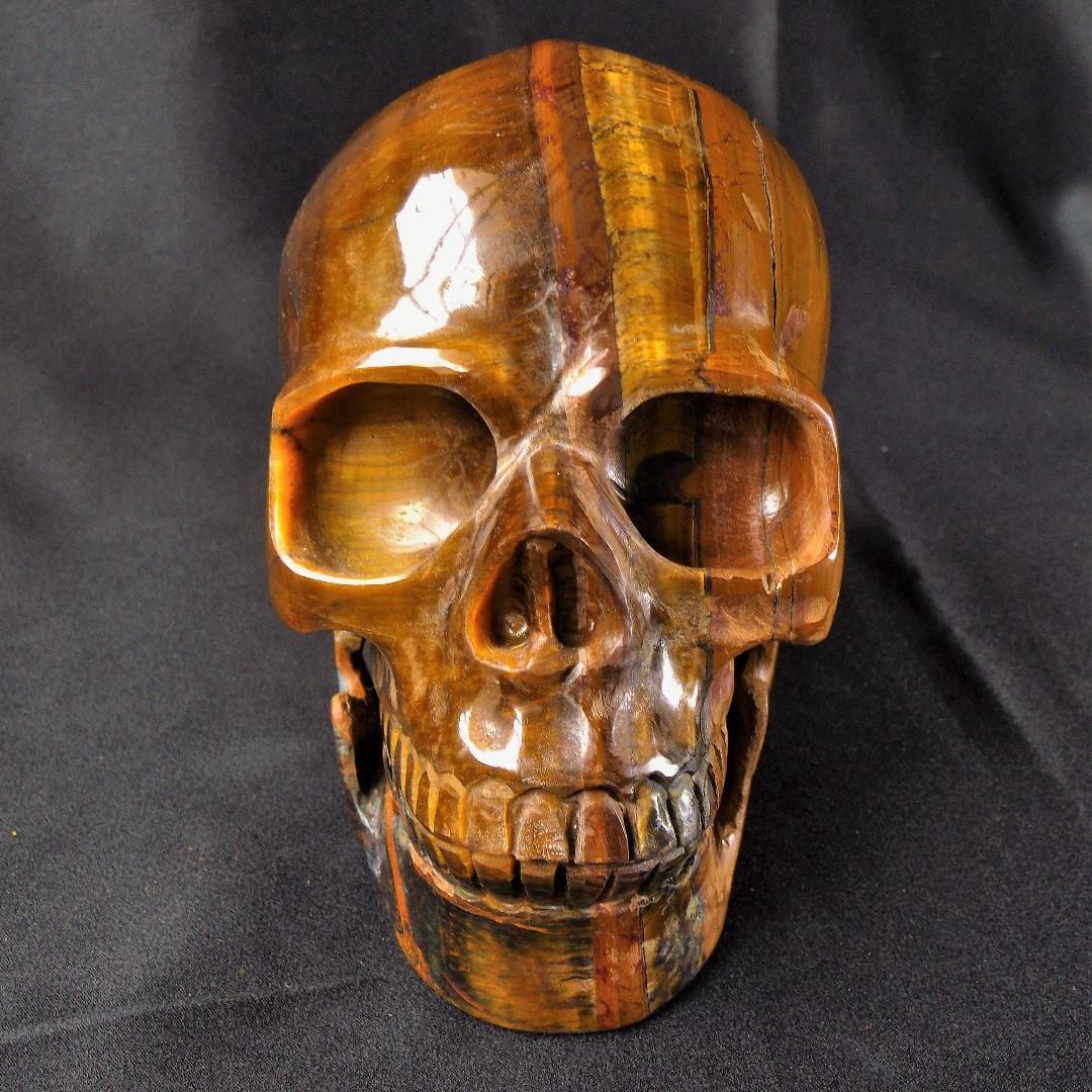 tigers eye skull